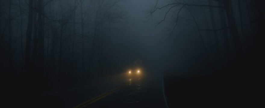 vehicle on road between trees